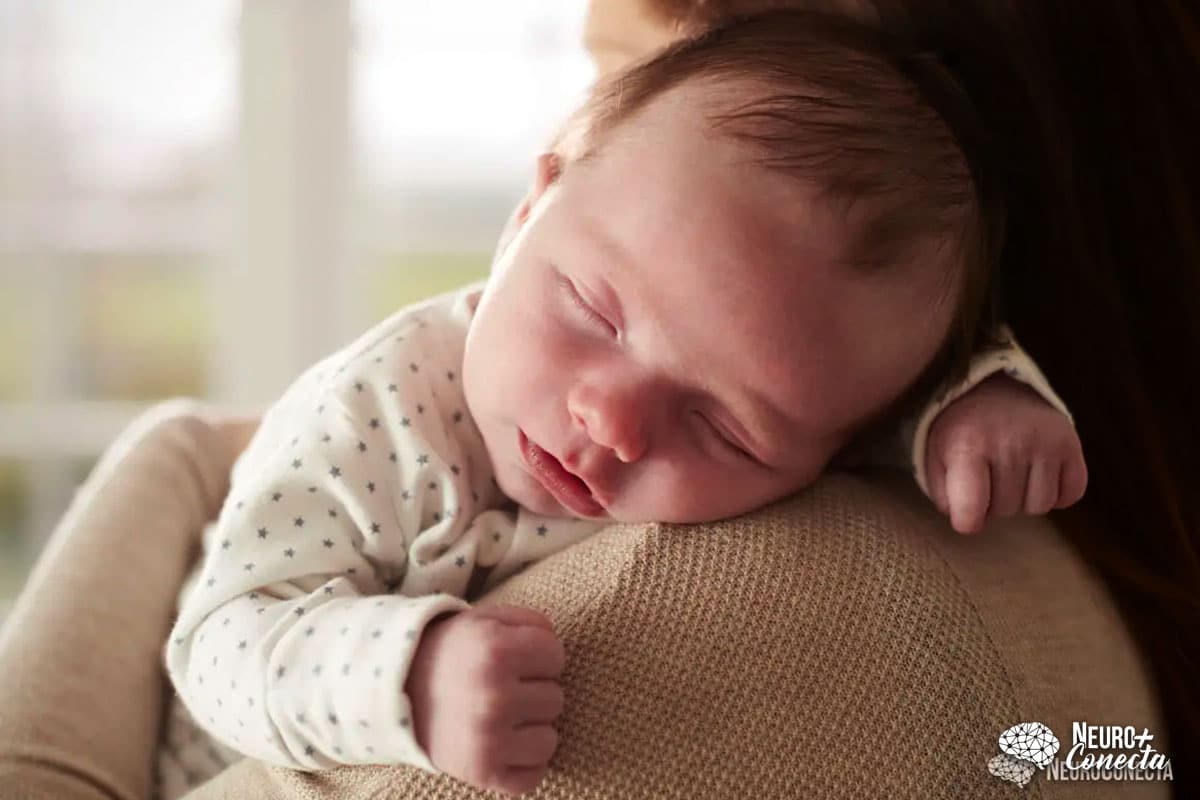 Dicas para identificar sinais de autismo em bebês – Espaço Mãe Coruja