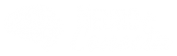 Logo-NeuroPlusConecta-Horizontal_site_branco